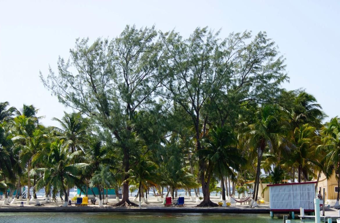 Blue Marlin Beach Resort Dangriga Dış mekan fotoğraf