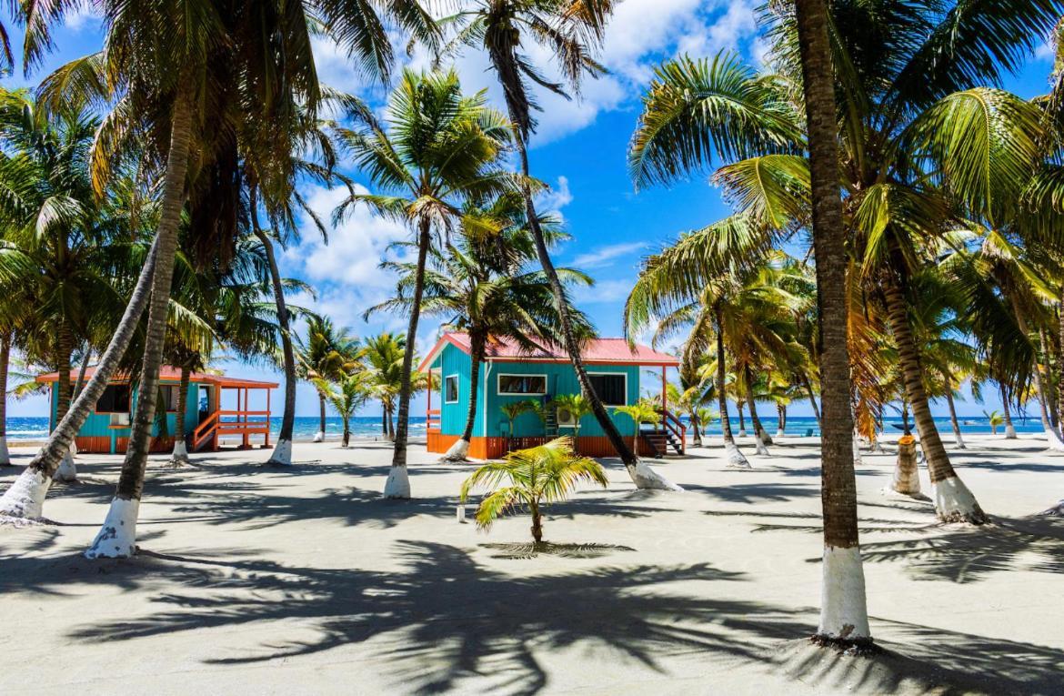 Blue Marlin Beach Resort Dangriga Dış mekan fotoğraf