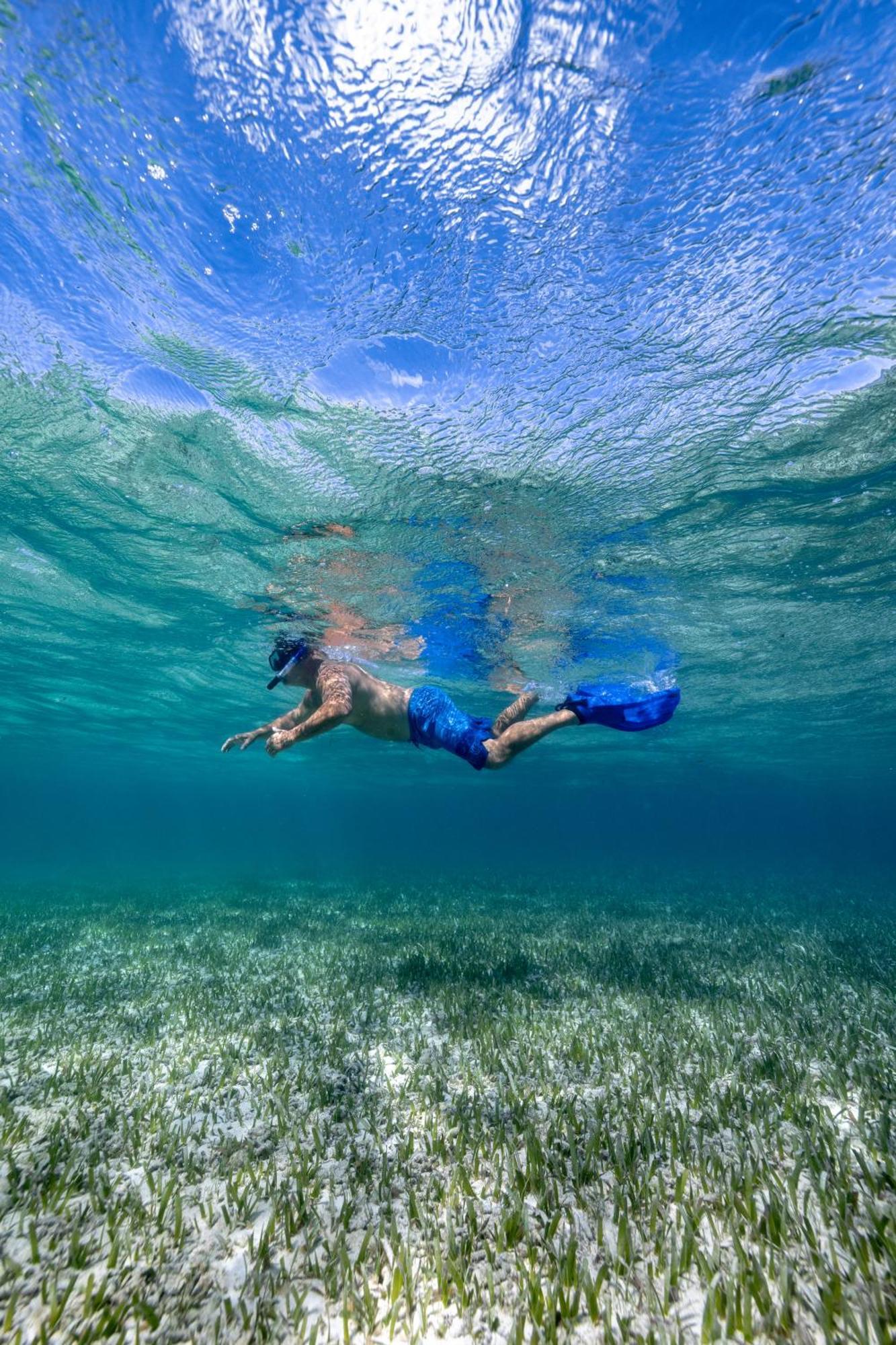 Blue Marlin Beach Resort Dangriga Dış mekan fotoğraf
