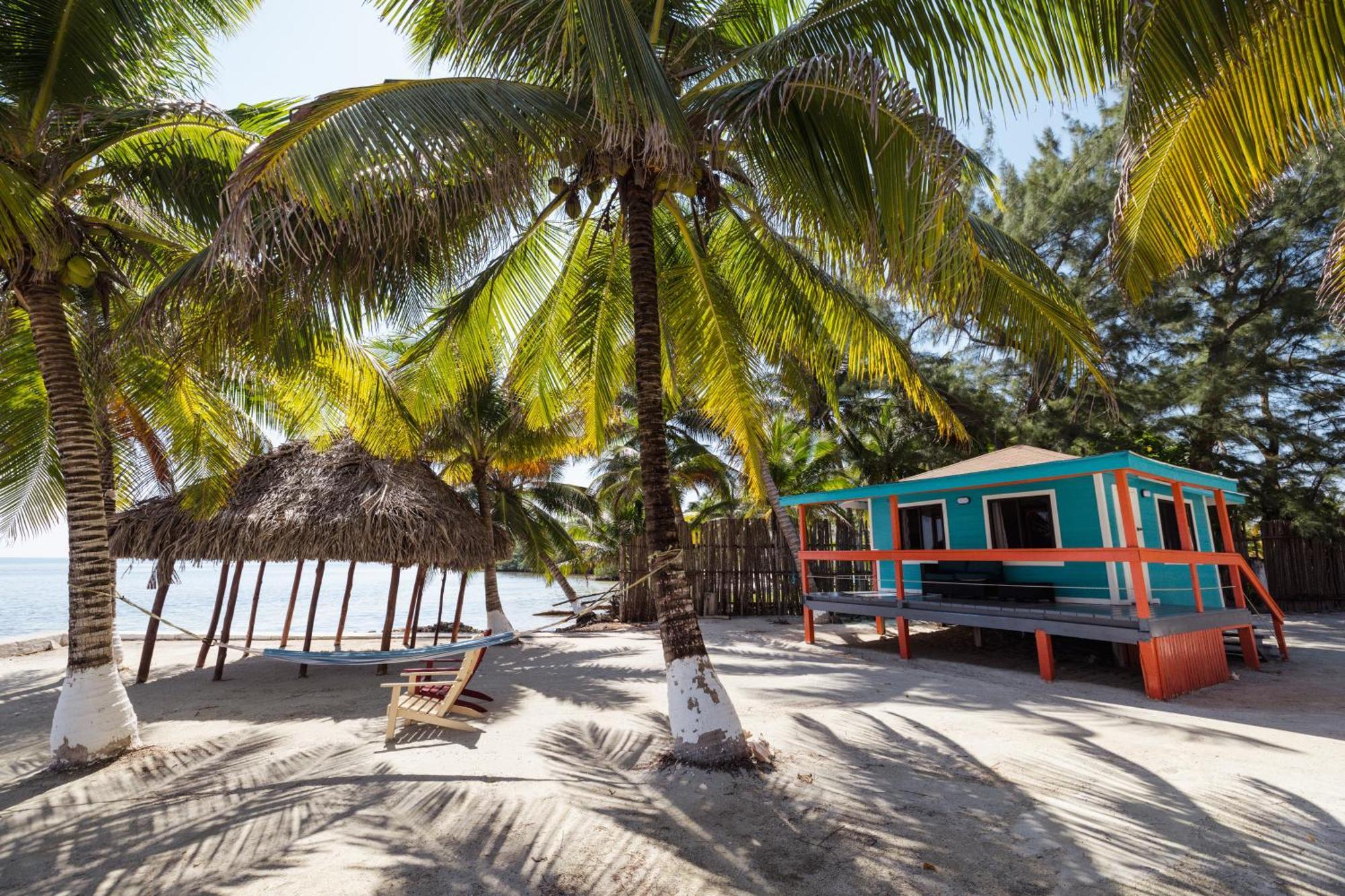 Blue Marlin Beach Resort Dangriga Dış mekan fotoğraf