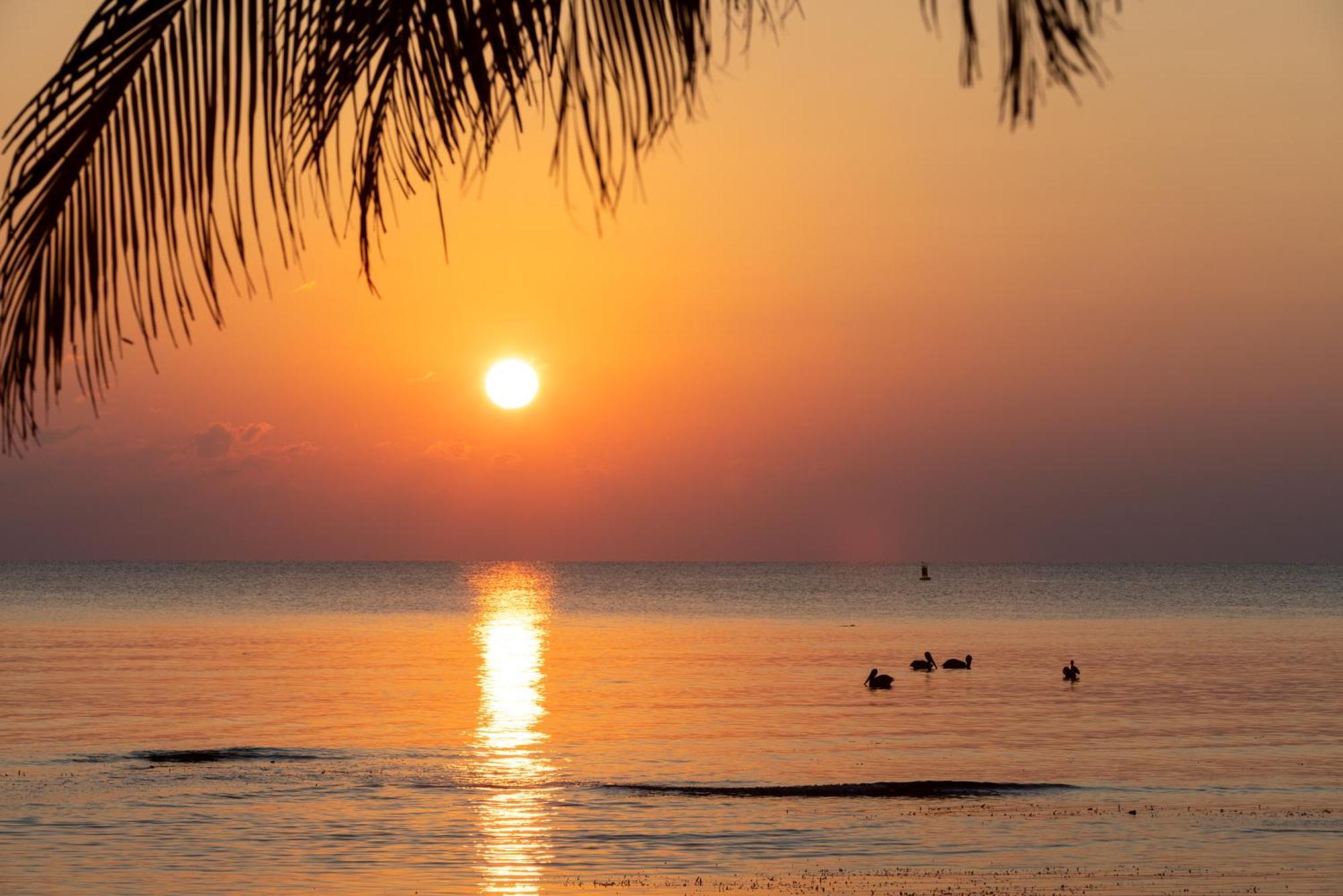 Blue Marlin Beach Resort Dangriga Dış mekan fotoğraf