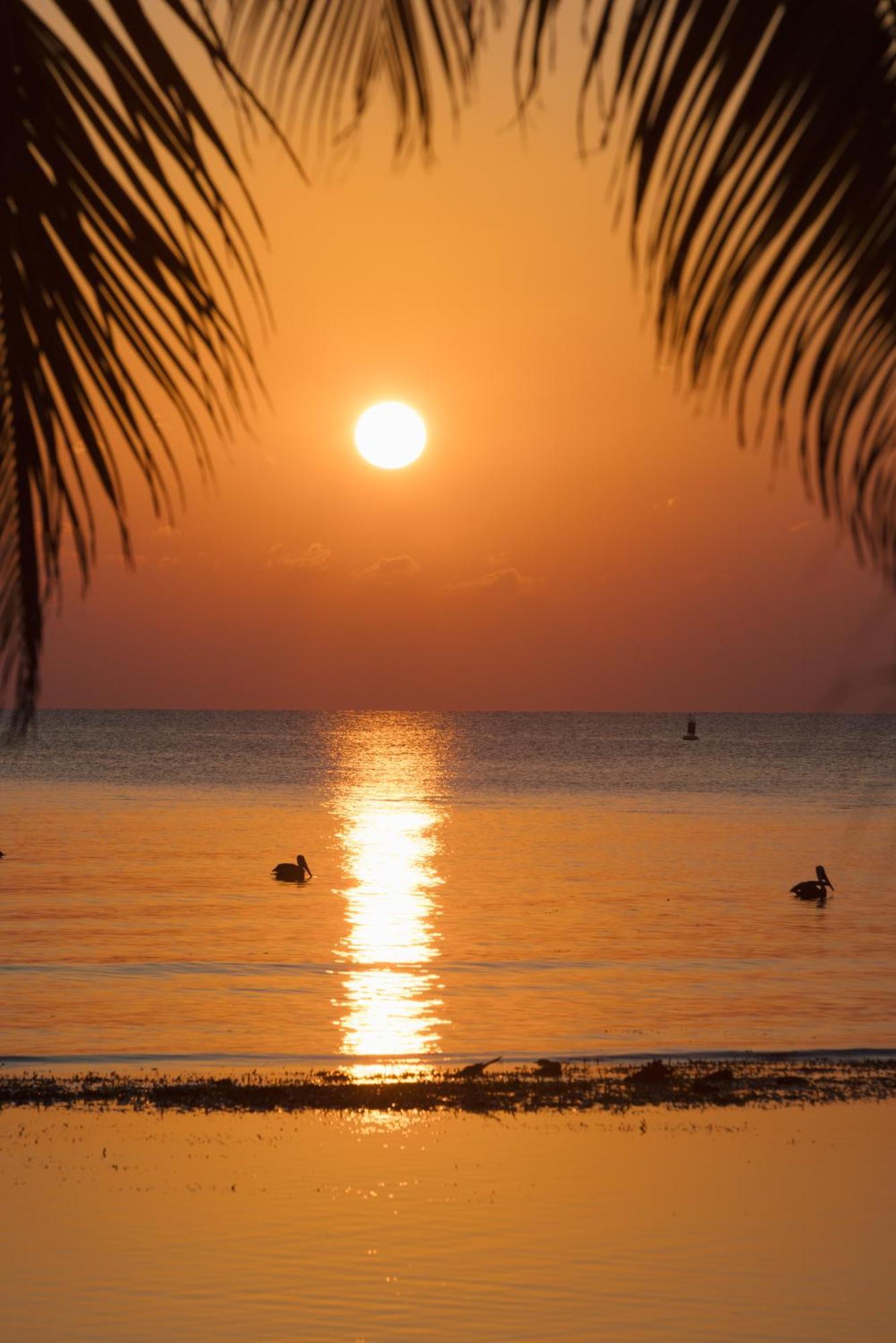 Blue Marlin Beach Resort Dangriga Dış mekan fotoğraf