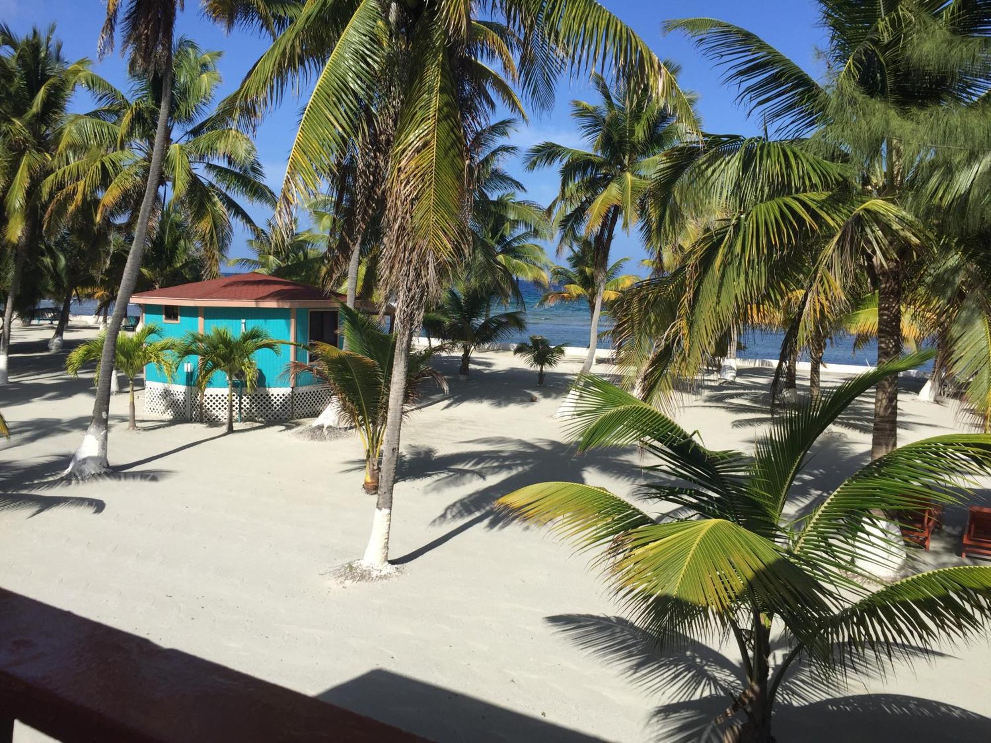 Blue Marlin Beach Resort Dangriga Dış mekan fotoğraf