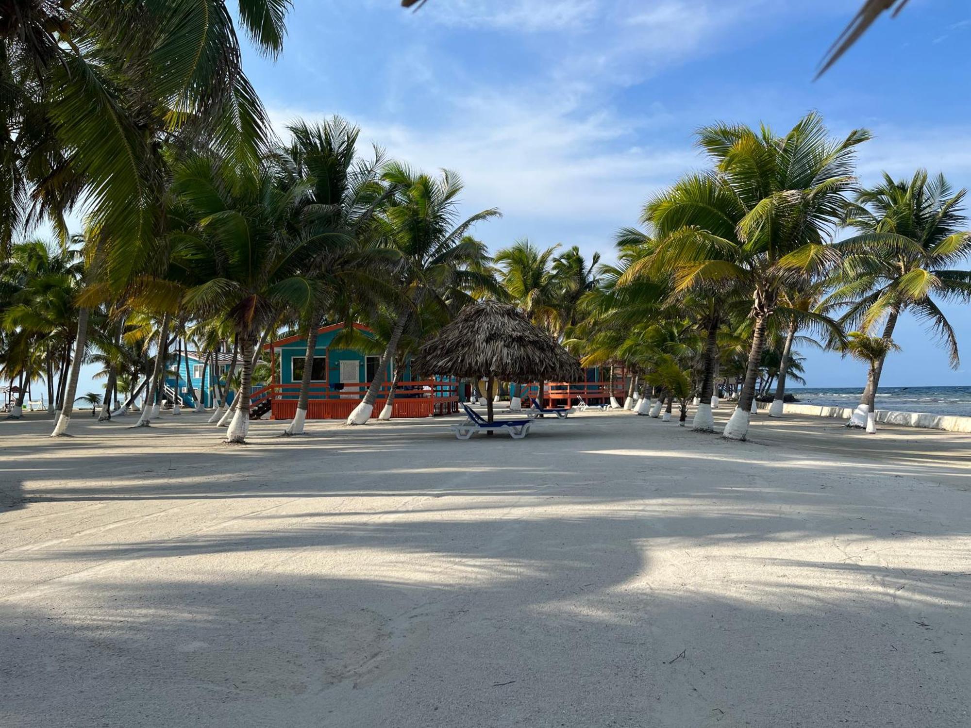 Blue Marlin Beach Resort Dangriga Dış mekan fotoğraf