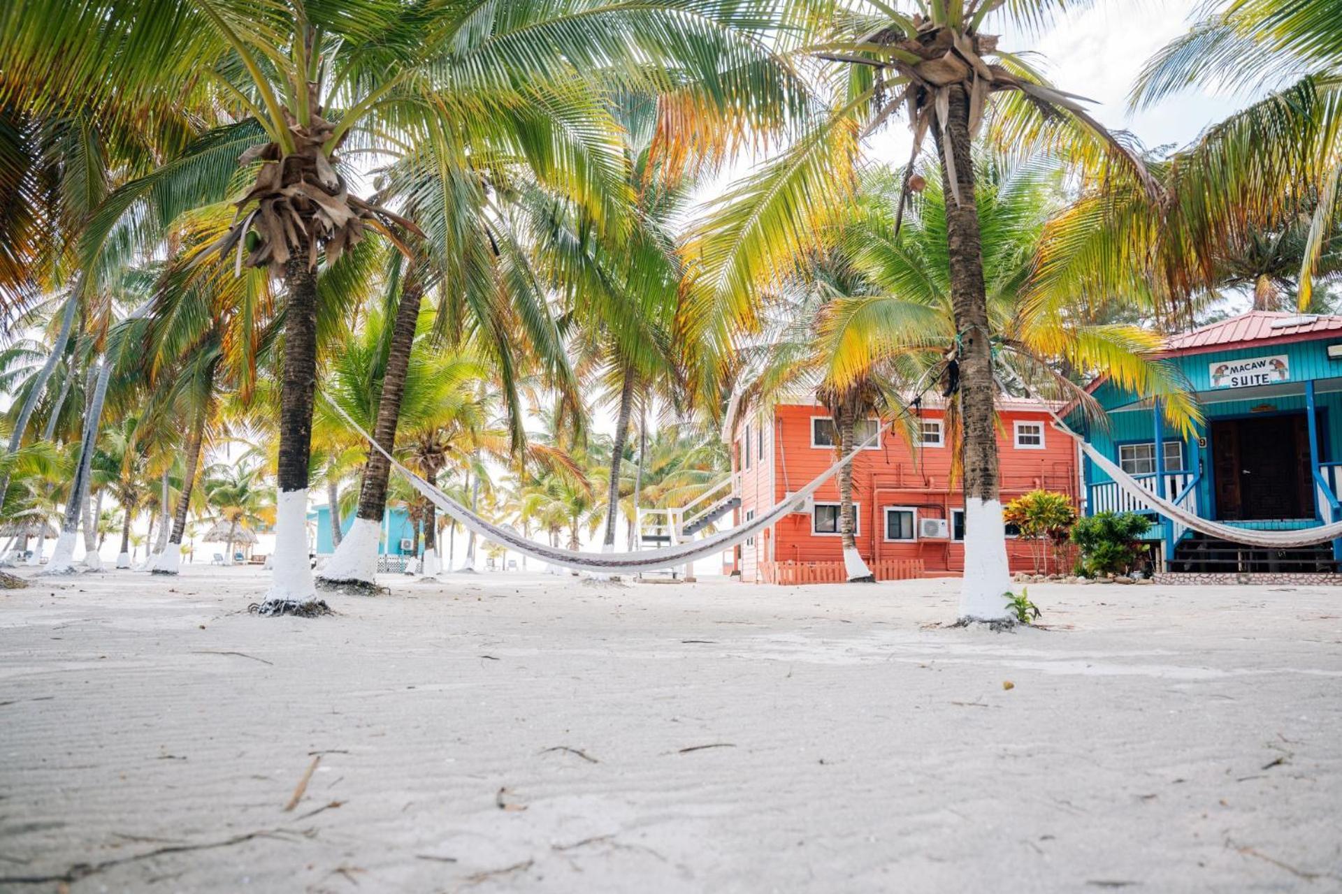 Blue Marlin Beach Resort Dangriga Dış mekan fotoğraf