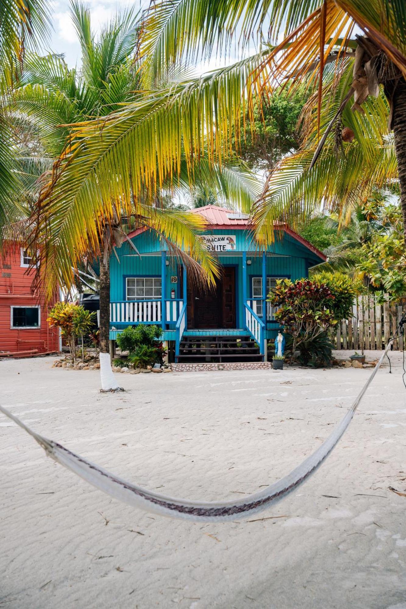 Blue Marlin Beach Resort Dangriga Dış mekan fotoğraf