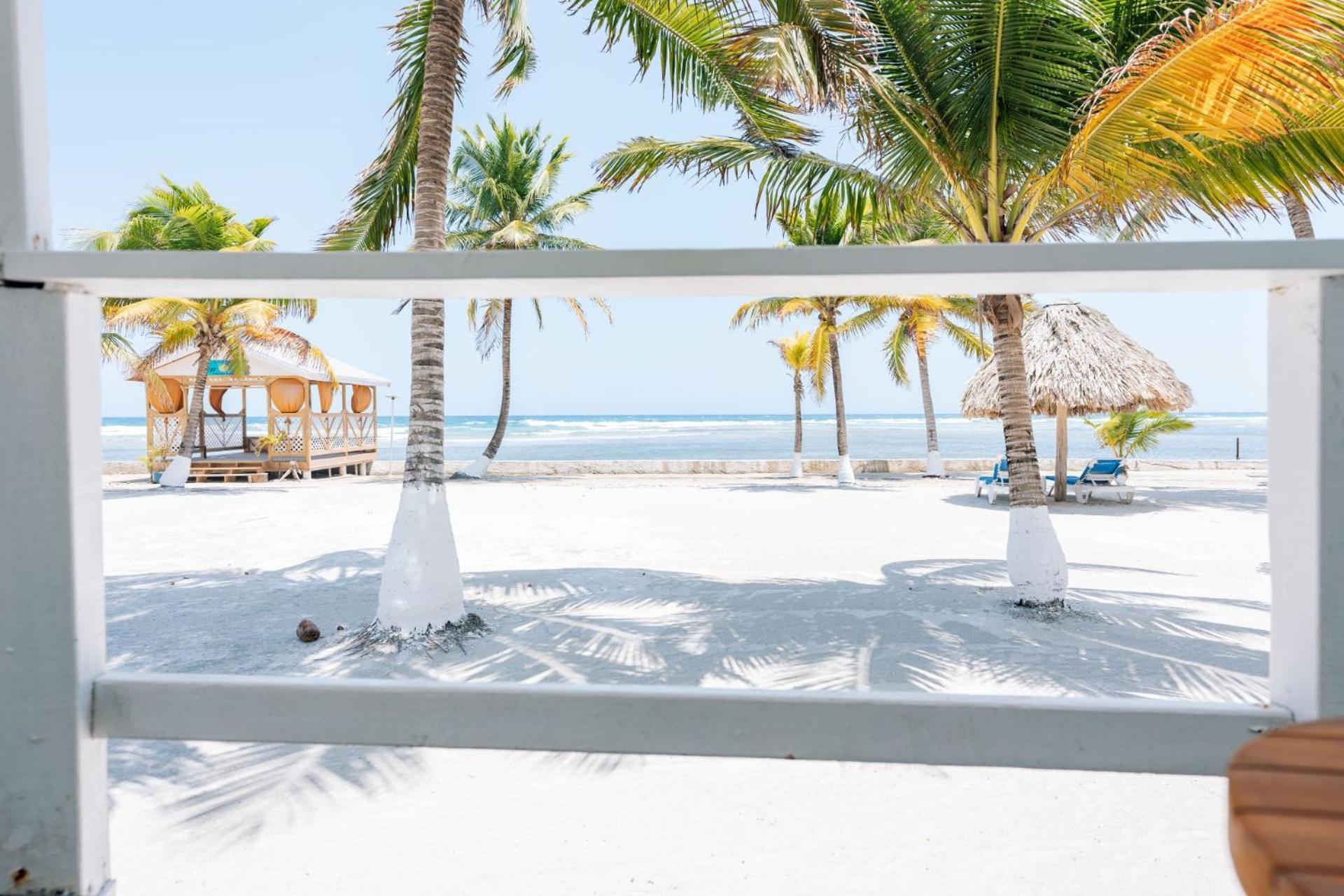 Blue Marlin Beach Resort Dangriga Dış mekan fotoğraf