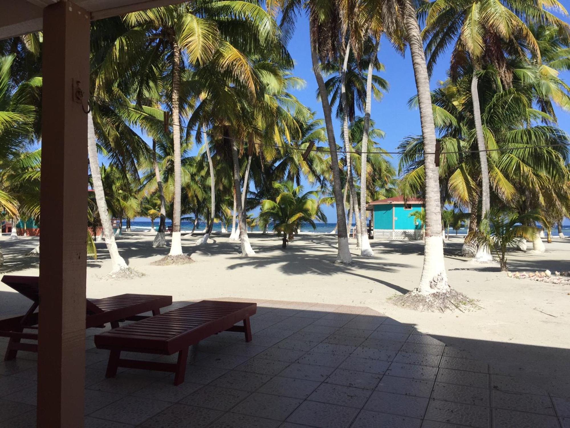 Blue Marlin Beach Resort Dangriga Dış mekan fotoğraf